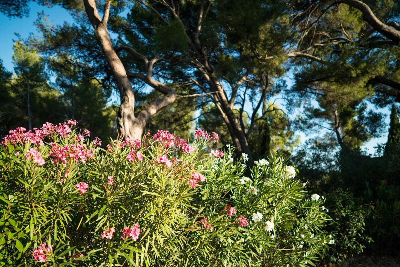 Domaine De Saint Clair Bed and Breakfast Aix-en-Provence Exteriör bild