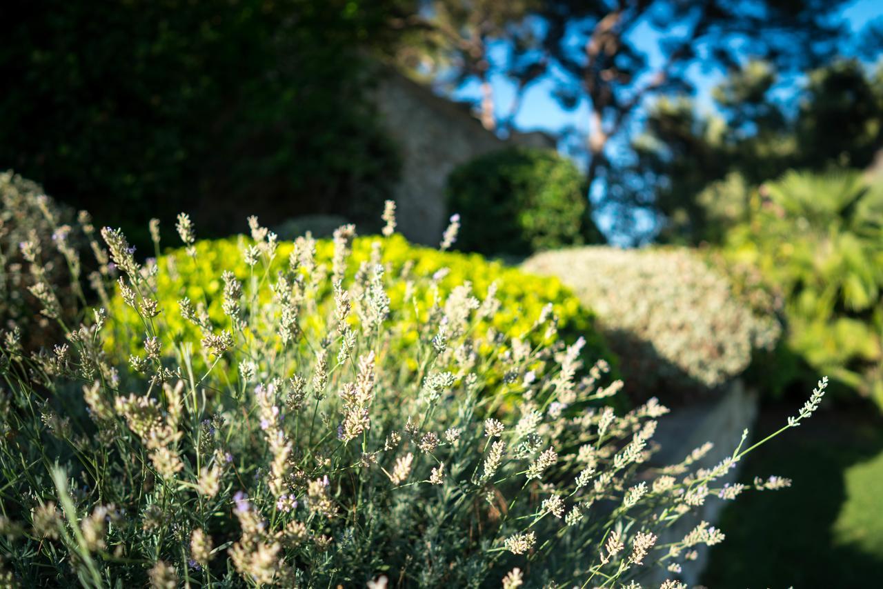 Domaine De Saint Clair Bed and Breakfast Aix-en-Provence Exteriör bild