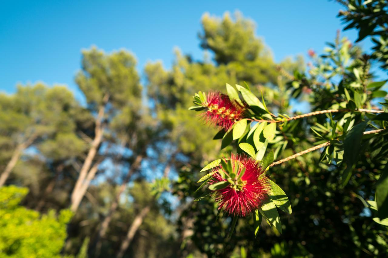 Domaine De Saint Clair Bed and Breakfast Aix-en-Provence Exteriör bild