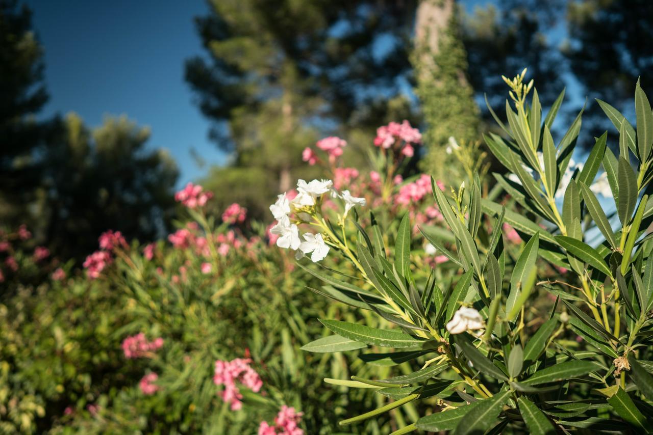 Domaine De Saint Clair Bed and Breakfast Aix-en-Provence Exteriör bild